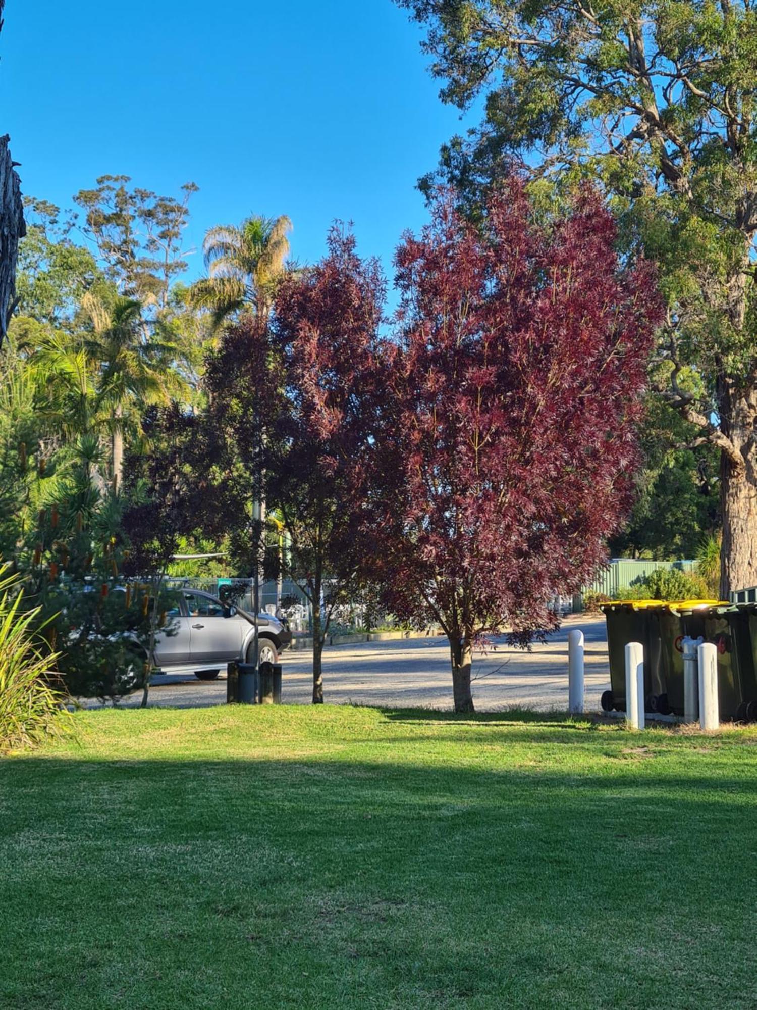 Mallacoota'S Shady Gully Caravan Park Exterior foto