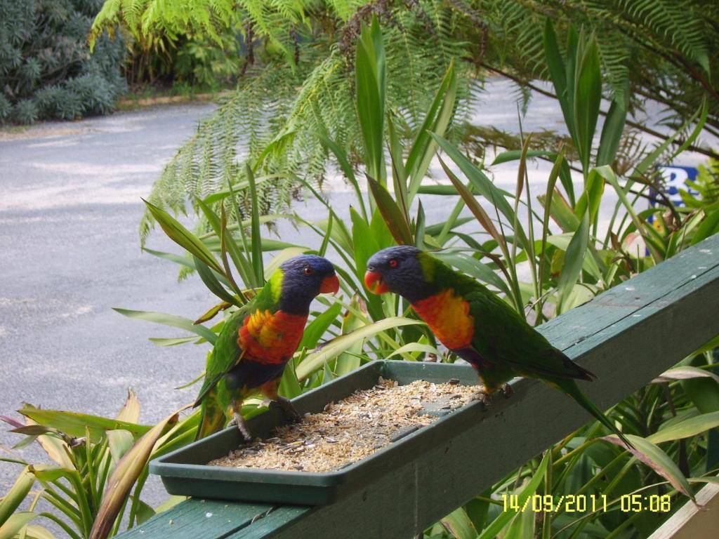 Mallacoota'S Shady Gully Caravan Park Exterior foto